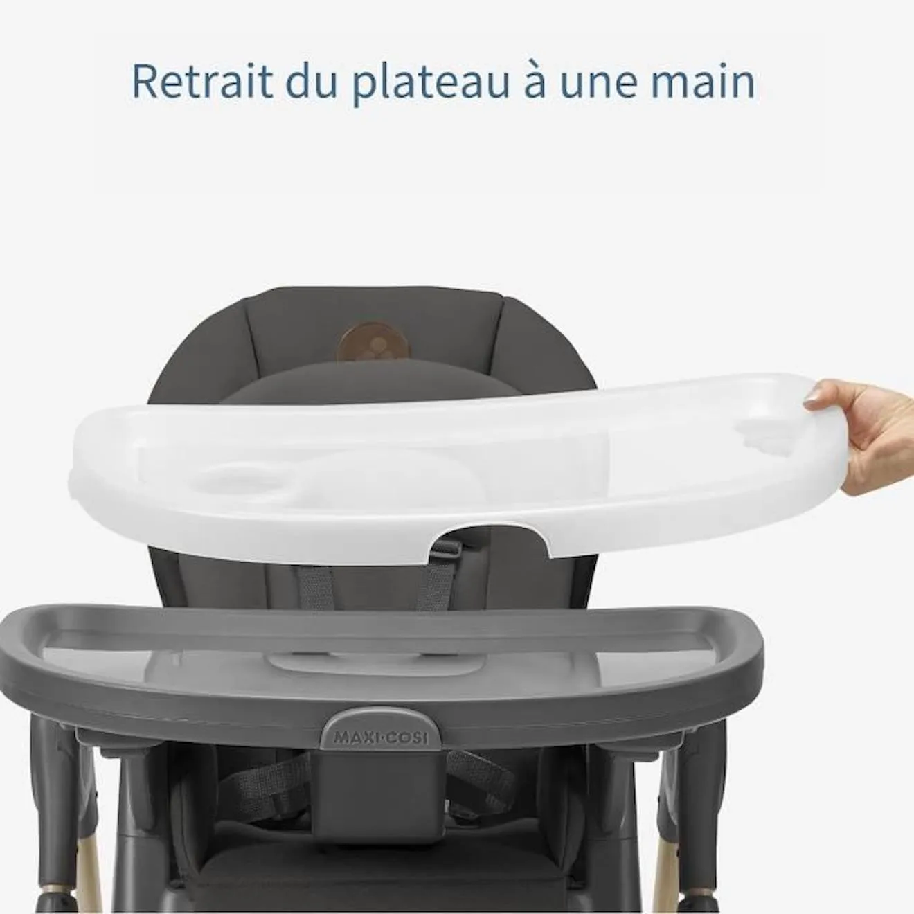 MAXI-COSI Minla Chaise haute évolutive - De la naissance à 6 ans - Beyond Graphite Eco gris - 